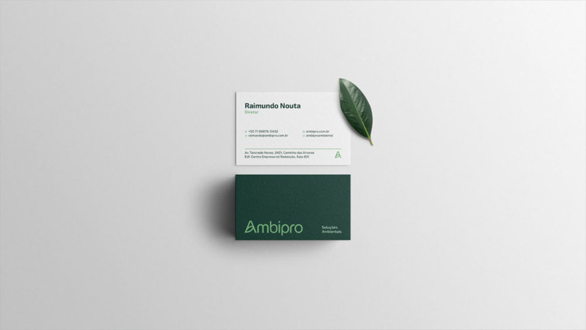 Ambipro