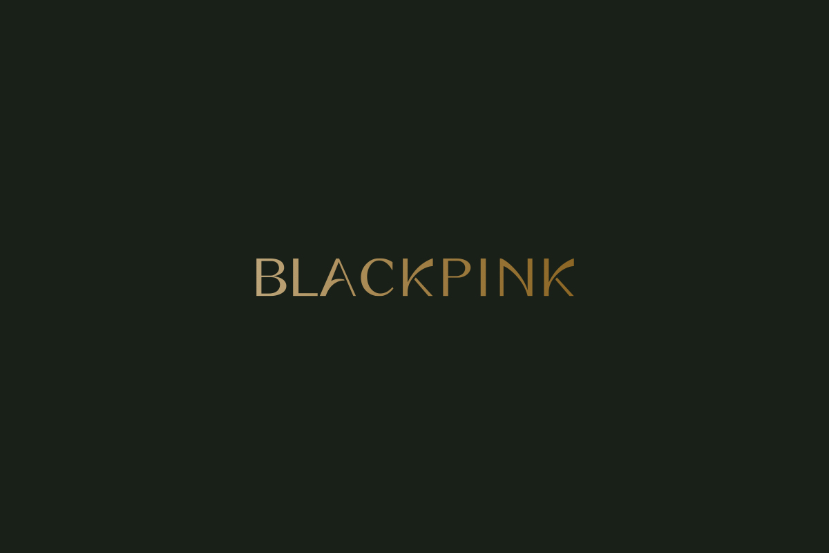 BLACKPINK美学VI设计