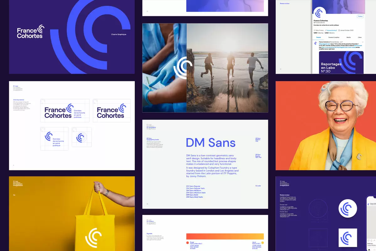 France Cohortes医疗VI