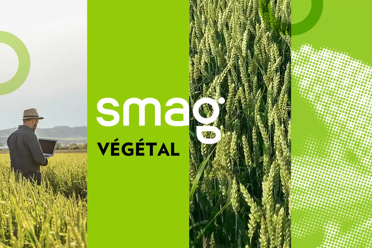 SMAG农业智能化海报