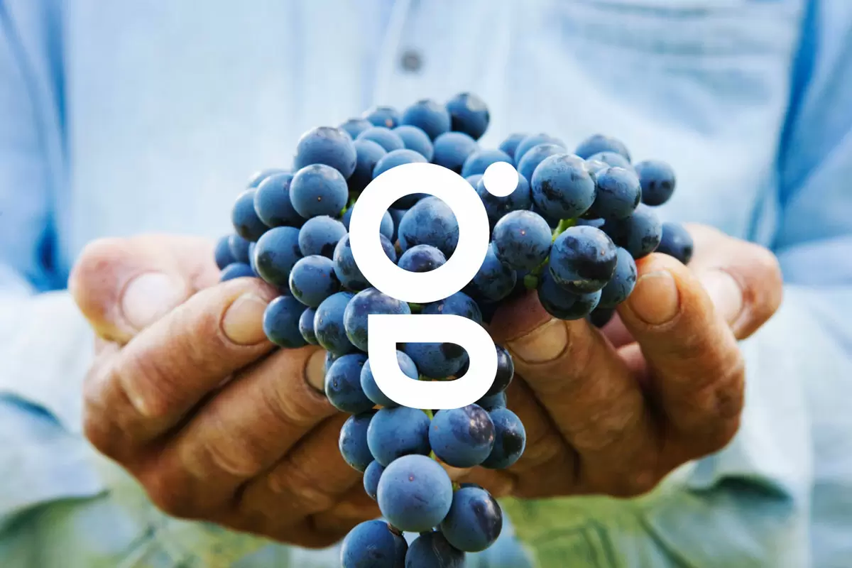 SMAG农业智能化反白图形