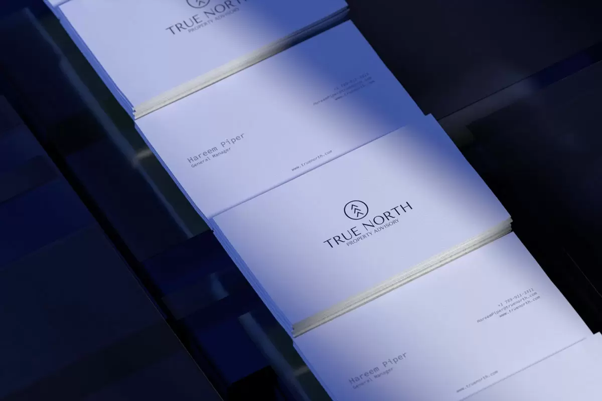 True North房地产名片