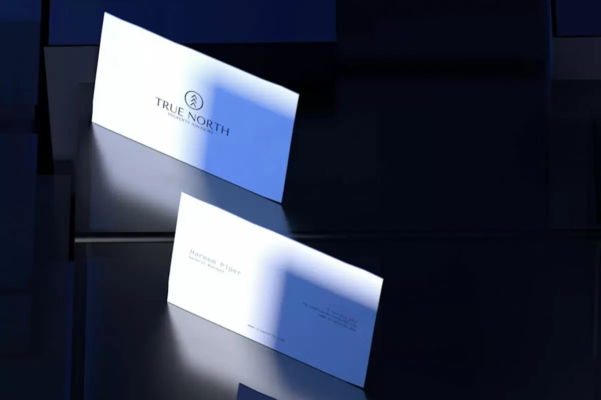 True North房地产名片